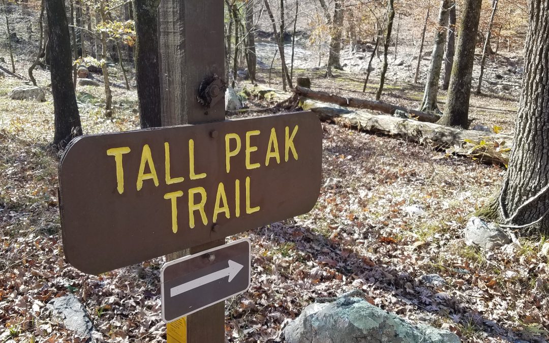 Tall Peak, Ouachita National Forest