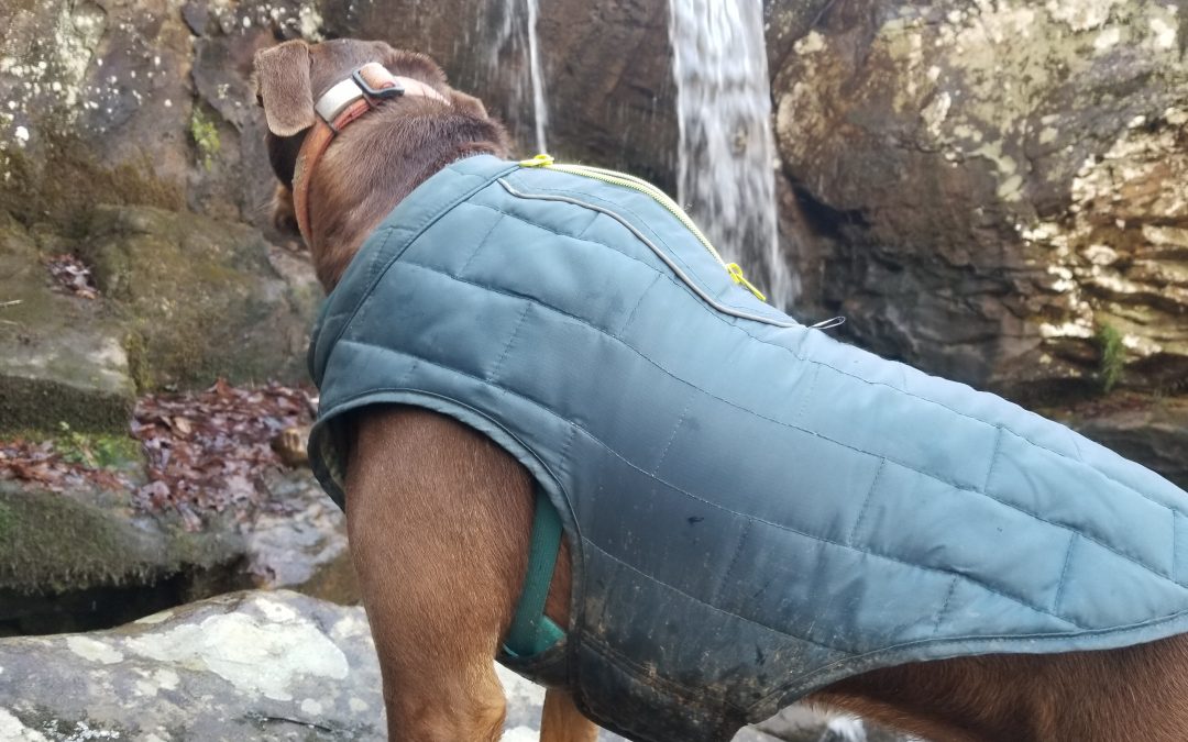 The Waterfall