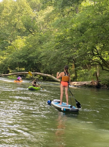 Stand Up Paddle Board