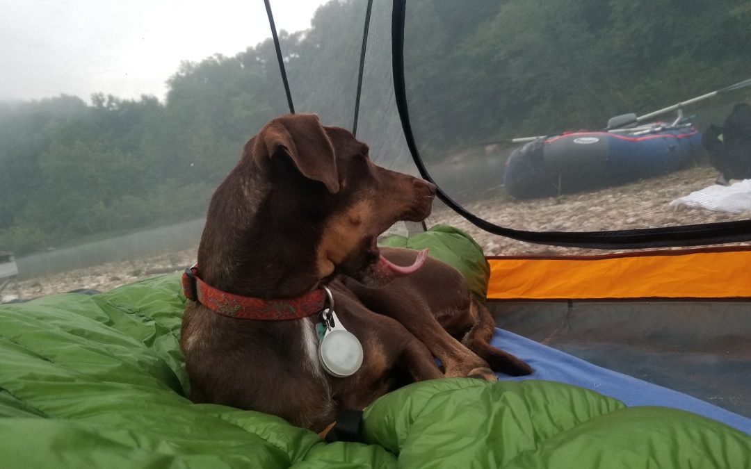 Just the Place – Lower Buffalo River