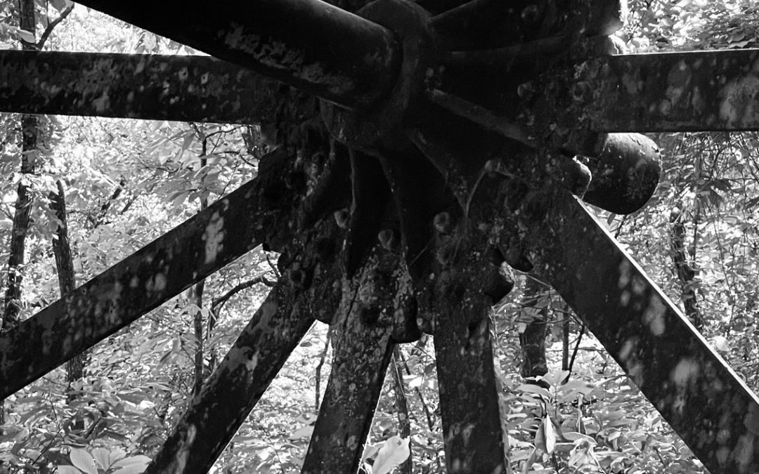 Finding Flow – Eleven Point River