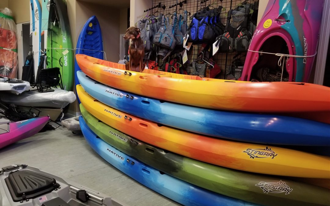 Kayaks 101
